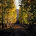 Free Going Home Stock Photos - 6721943