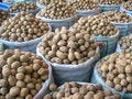 Free Nuts Stock Images - 6722374