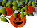 Free Happy Halloween Pumpkin Royalty Free Stock Images - 6728039