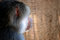 Free Baboon Profile Royalty Free Stock Photo - 6723575