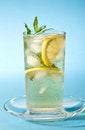 Free Cold Tea Royalty Free Stock Photos - 6736768