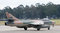 Free War Bird Royalty Free Stock Images - 6739819