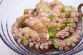 Free Octopus Royalty Free Stock Photo - 6743305