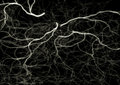Free Lightning Stock Photo - 6745890