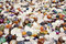Free Semi Precious Stones. Stock Images - 6745984