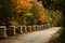 Free Nature Pathway Stock Photos - 6747423