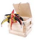 Free Wood Harlequin Box Stock Photos - 6750243