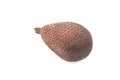 Free Salak Or Snake Fruit Stock Image - 6751571