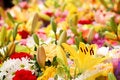 Free Flowers Background Royalty Free Stock Photo - 6756435