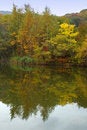 Free Autumn Forest And Lake Scenery. Stock Photo - 6759130