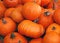 Free Pumpkin Patch Royalty Free Stock Photography - 6753257