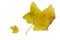 Free Large And Small Yellow Autumn Fig Leaves Stock Photography - 6755252
