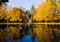 Free Autumn In The Park Royalty Free Stock Images - 6759159