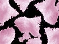 Free Pink Snow Isolated On Pure Black Background Royalty Free Stock Photography - 6762617