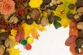 Free Colours Of The Autumn Royalty Free Stock Image - 6766766