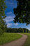 Free A Road Under Blue Sky Stock Images - 6762074