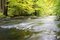 Free Autumn River Royalty Free Stock Photo - 6764615
