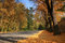 Free Fall Country Road Royalty Free Stock Images - 6765749