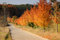 Free Maple Alley Stock Photo - 6765780