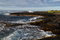 Free Black Rock Shoreline Royalty Free Stock Photo - 6769835