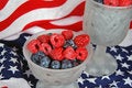 Free Served With Pride Stock Photos - 6777683