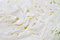 Free Cabbage Section Royalty Free Stock Photos - 6771688