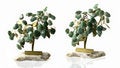 Free Tree Of Happiness Stock Photography - 6781552