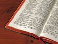 Free Open Vietnamese Bible Stock Image - 6789011