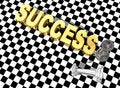 Free Success Concept Royalty Free Stock Photography - 6790377