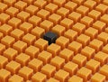 Free Individuality Stock Image - 6790881