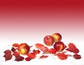 Free Fruits And Leaves Royalty Free Stock Image - 6791446