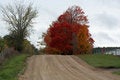 Free Rural Road Stock Images - 6796444