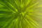 Free Abstract Background Royalty Free Stock Image - 6796696