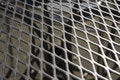 Free Metal Garden Table Top. Stock Photo - 685680