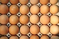 Free Eggs In Box Stock Photo - 689630