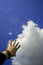 Free Reaching The Clouds Royalty Free Stock Image - 680526