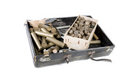 Free Set For Shotgun Stock Photo - 6800520