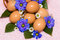 Free Easter Egg With Flowers Royalty Free Stock Photos - 6805168