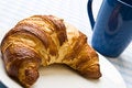 Free Continental Breakfast Stock Images - 6816024