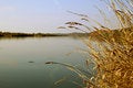 Free The River In Silent Morning Royalty Free Stock Photo - 6818535