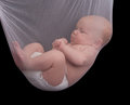 Free Hold The Baby Royalty Free Stock Images - 6818899