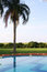 Free View Of Pool Stock Photo - 6815880