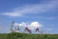 Free Clouds In Blue Skies Stock Image - 6820431