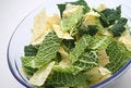 Free Fresh Cabbage Stock Photos - 6821773