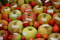 Free Apples Different Quality Stock Photography - 6823172