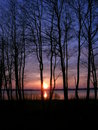Free Sunset Royalty Free Stock Photography - 6825677