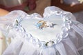 Free Rings On A Pad Royalty Free Stock Photo - 6828135