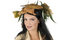 Free Miss Autumn Royalty Free Stock Photo - 6839385