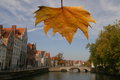 Free Fall In Brugge, Belgium Stock Photos - 6858933
