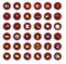 Free Portfolio Icons Royalty Free Stock Photo - 6851105